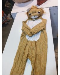 Lion Dress